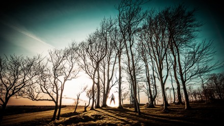 Photography by Will Sutton