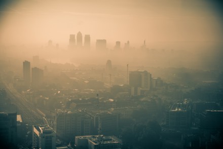 Photography by Will Sutton