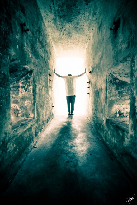 Photography by Will Sutton