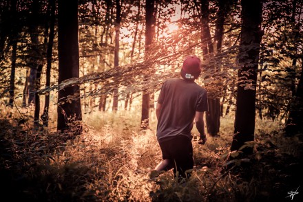 Photography by Will Sutton